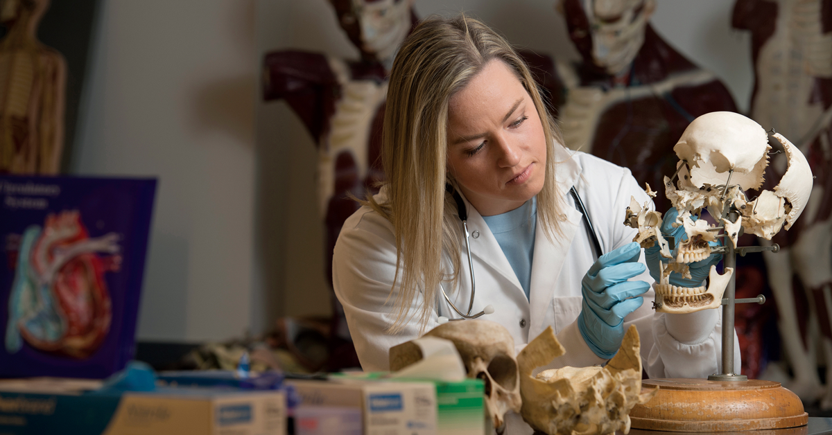 Kate O'Leary examining skull