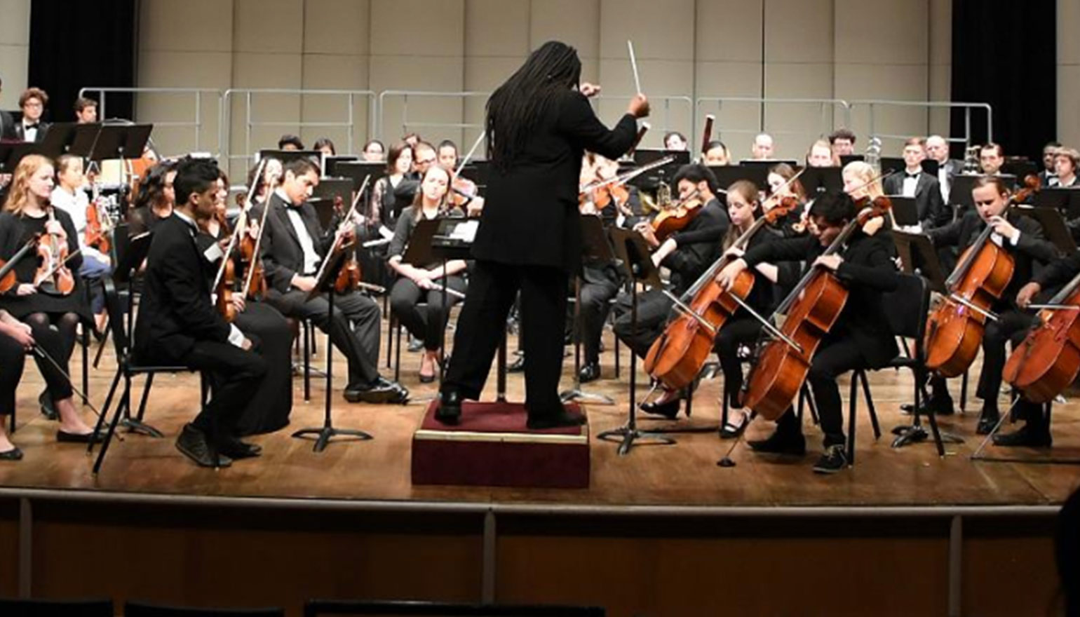 Orchestra and conductor from audience