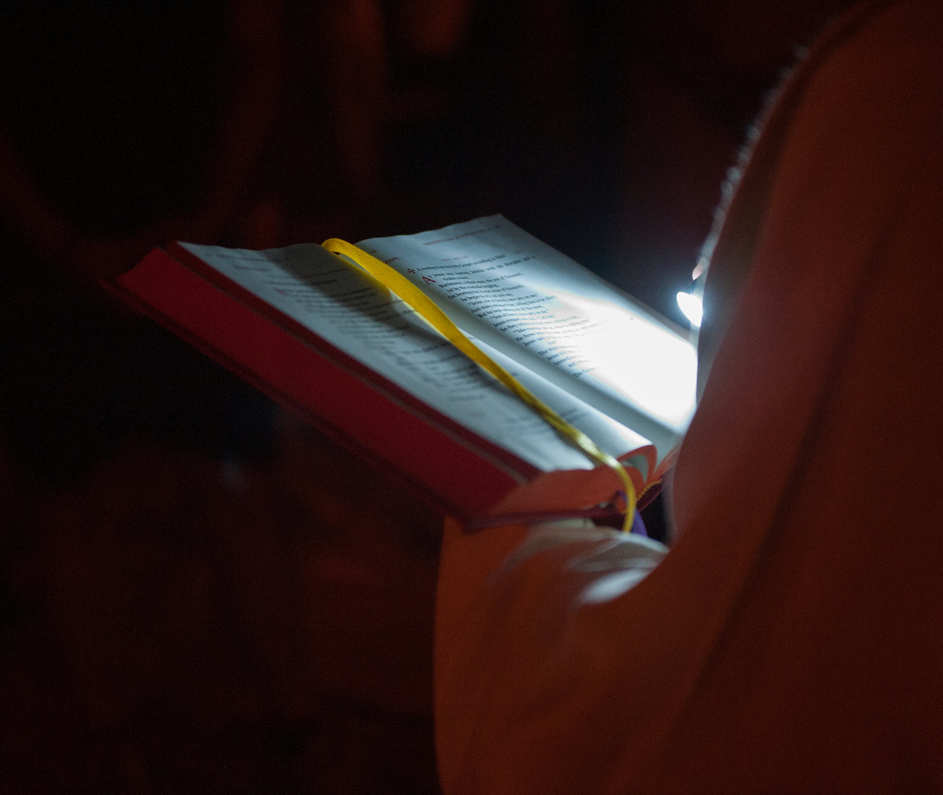 Viewing the good book