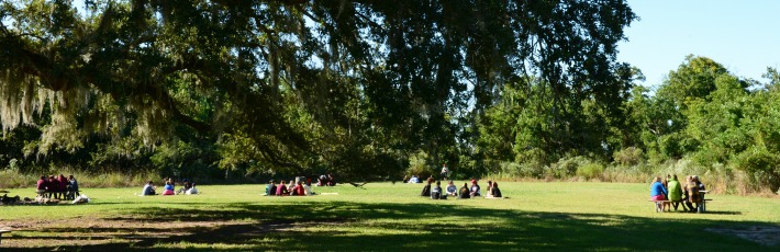 Retreat small groups meeting under tree