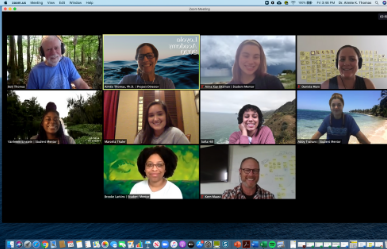 Photo of Zoom meeting with Loyola Academy participants